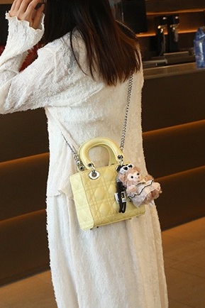 CLAREGQI Women Acrylic Handle  - огляд і ціна Mini Purse Chain