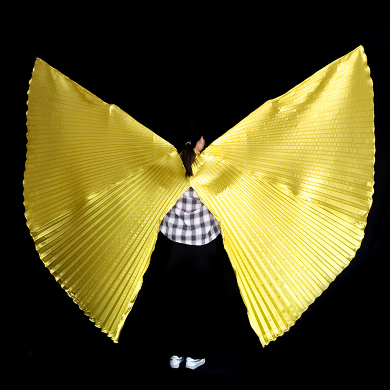 Belly Dance Wings Isis Wings A - огляд і ціна Women Bags Egypt