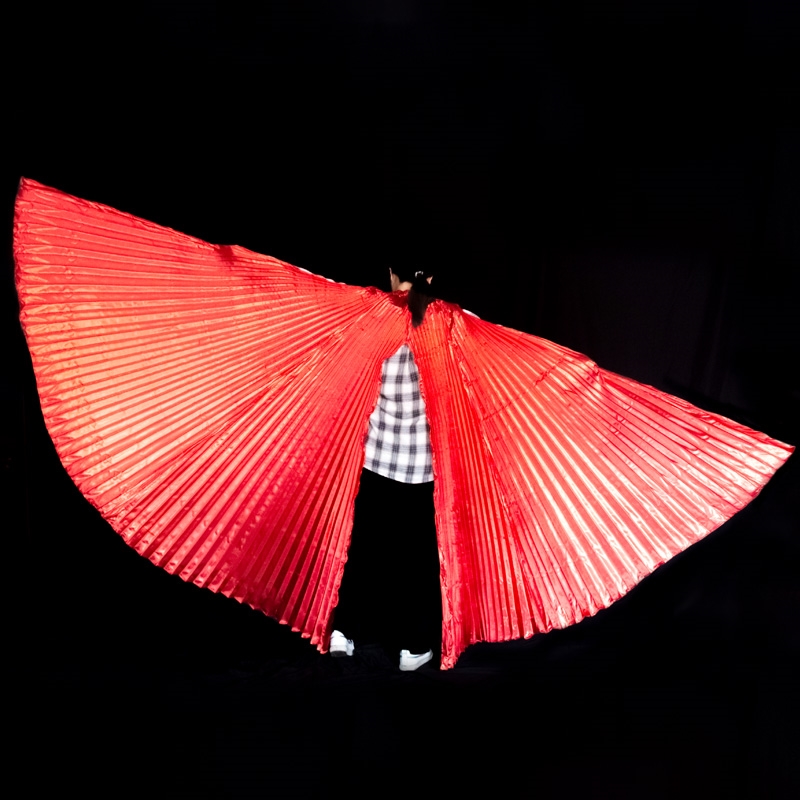 Belly Dance Wings Isis Wings A - огляд і ціна Women Bags Egypt
