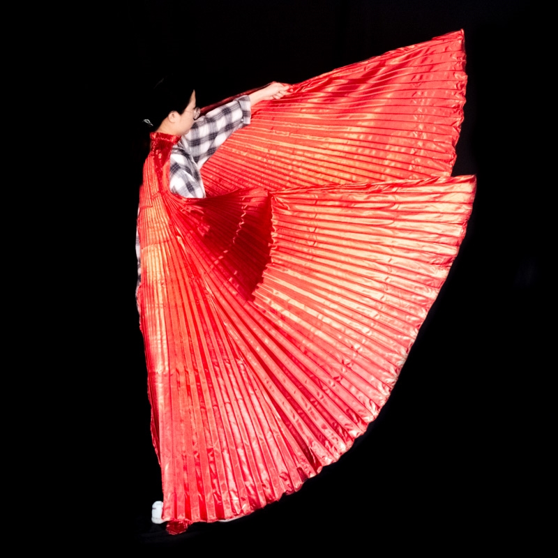 Belly Dance Wings Isis Wings A - огляд і ціна Women Bags Egypt